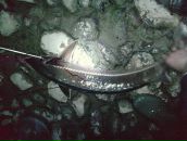 Сєрий Коструб'як фотография #28 (источник - https://vk.com/id29218888)