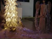 Фотография Пелтоперы Марины