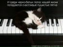 Фотография Шагеевой Юлии