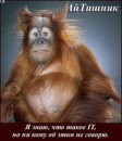 Сергій Гайдеєв фотография #12 (источник - https://vk.com/id63450867)