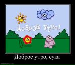 Тима Мороз фотография #43 (источник - https://vk.com/id249775)