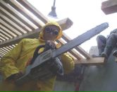 Фотография Арешкина Александра