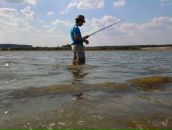 Игорь Дмитриев фотография #21 (источник - https://vk.com/id2869514)