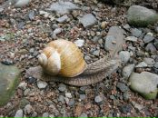 Александр Поліщук фотография #22 (источник - https://vk.com/id9517536)