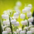 Юлія Кузьмич фотография #49 (источник - https://vk.com/id49447106)