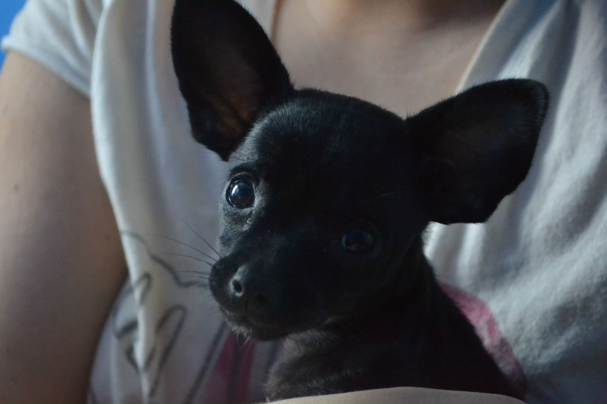 Olya Shepel фотография #48