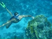 Фотография Viktorovich Denis