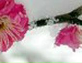 Марія Семенина фотография #14 (источник - https://vk.com/id36831563)