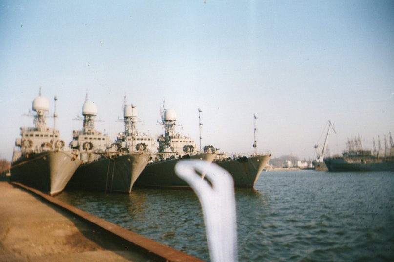 Дмитрий Гуляев фотография #34
