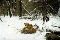 Віталік Владимиров фотография #6 (источник - https://vk.com/id25436486)