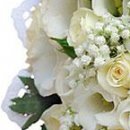 Лілія Левко фотография #43 (источник - https://vk.com/id144368814)