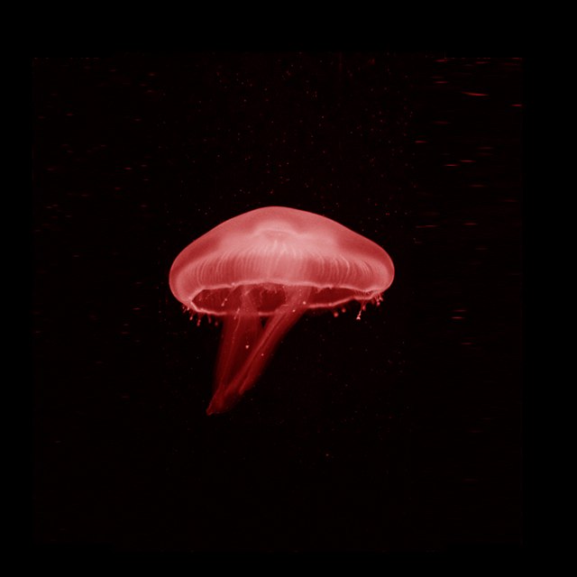 Дмитрий Егоров фотография #21