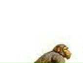 Анатолій Берилій фотография #37 (источник - https://vk.com/id51719607)