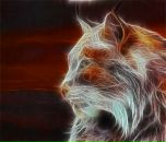 Фотография Брук Аны