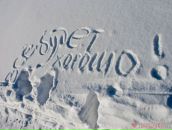 Фотография Александров Александр