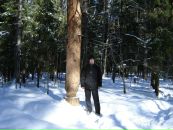 Фотография Соловьёва Константина