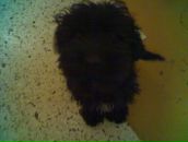 Фотография Захарова Стаса