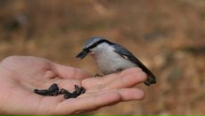 Фотография Васильевой Екатерины