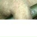 Руслан Червінський фотография #35 (источник - https://vk.com/id25020766)