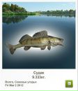 Славік Зайцев фотография #23 (источник - https://vk.com/id97164544)