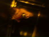 Фотография Есиковой Надежды