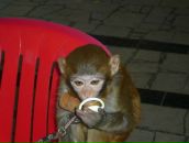 Фотография Чубрик Кристи