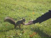 Фотография Юнолайнен Наталии