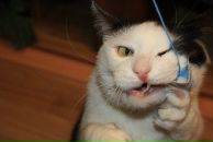 Фотография Друговского Алексея