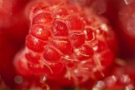 Фотография Сухаревой Анечки