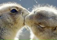 Фотография Микельджанянц Натальи