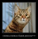 Миша Мифка фотография #40 (источник - https://vk.com/id289308)