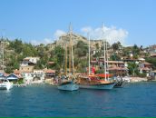 Фотография Зыбиной Натальи