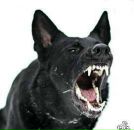 Фотография Орловой Светланы