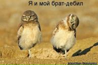 Фотография Никитина Марина