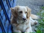 Денис Янків фотография #5 (источник - https://vk.com/id90753863)