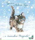 Фотография Николаевны Натальи