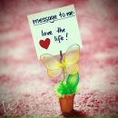 Фотография Гавриловой Екатерины