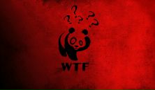 Фотография Грознова Димы