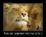 Фотография Веревкина Владимира