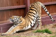 Фотография Смольяниновой Кати