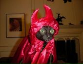 Фотография Никулина Александра