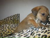 Фотография Романовой Анастасии