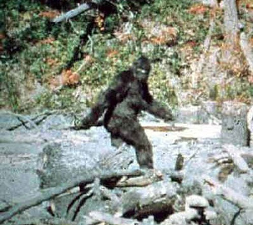 №1, Александр Ядыкин, 25.3.1991 №1, Александр Ядыкин, 25.3.1991