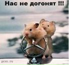 Анатолій Красюк фотография #47 (источник - https://vk.com/id69061863)