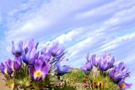 Фотография Шугулевой Альбины