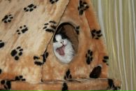 Фотография Gomer Julia