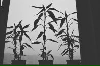 Алексей Куликов фотография #23 (источник - https://vk.com/id192201)