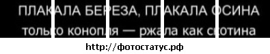 №2, Егор Красноруцкий, 29 лет №2, Егор Красноруцкий, 29 лет