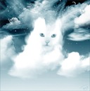 Фотография Васильева Юры