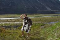 Фотография Павлова Павла